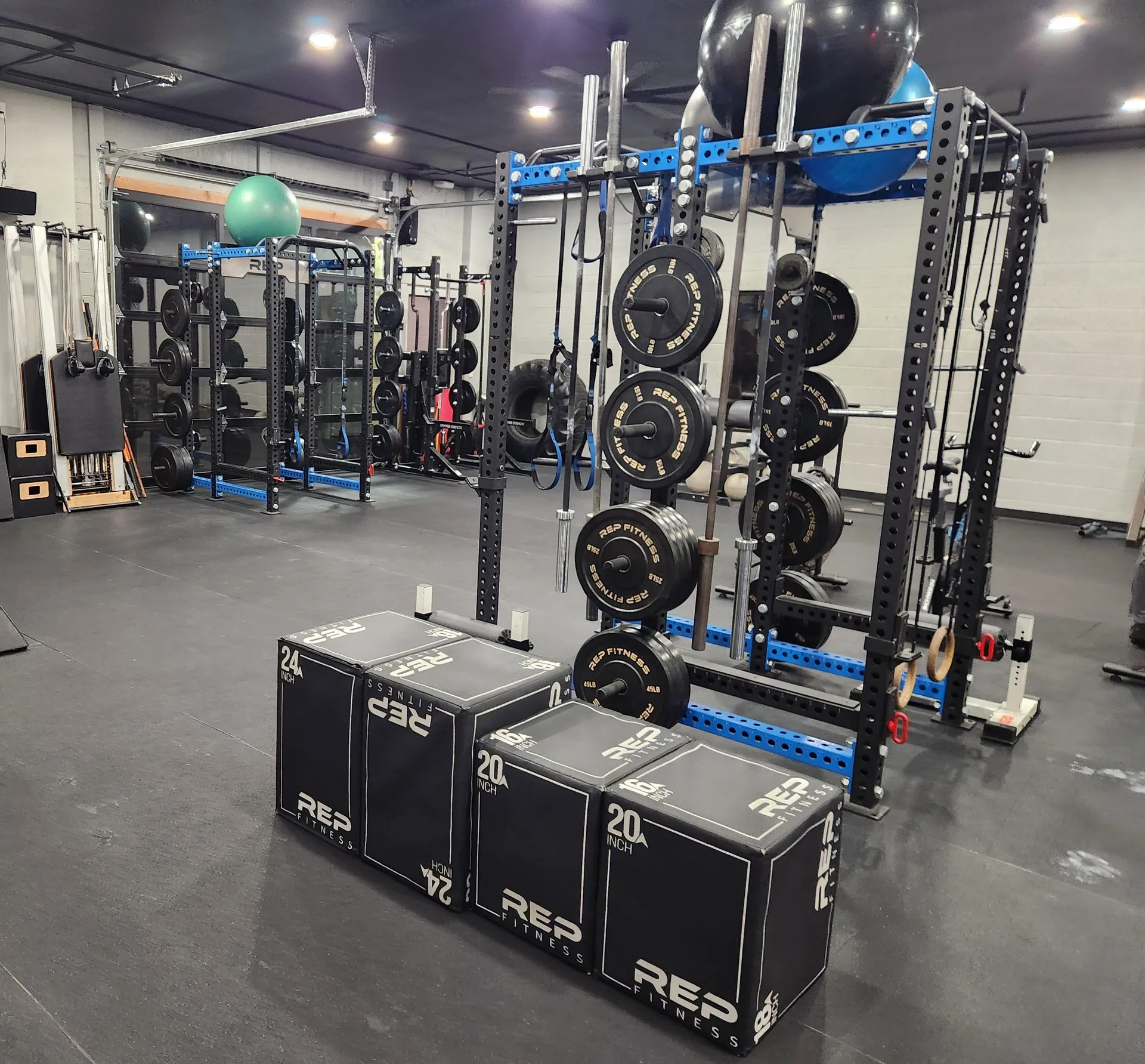 Everything you need to move well